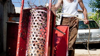 Priča o vinu: Od trsa do bačve, Foto: Leo Banić