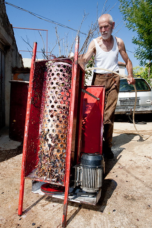 Priča o vinu: Od trsa do bačve, Foto: Leo Banić