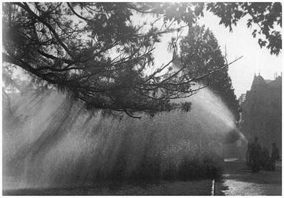 Image 1192775 (auto)