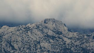 Image 1177831 (auto)