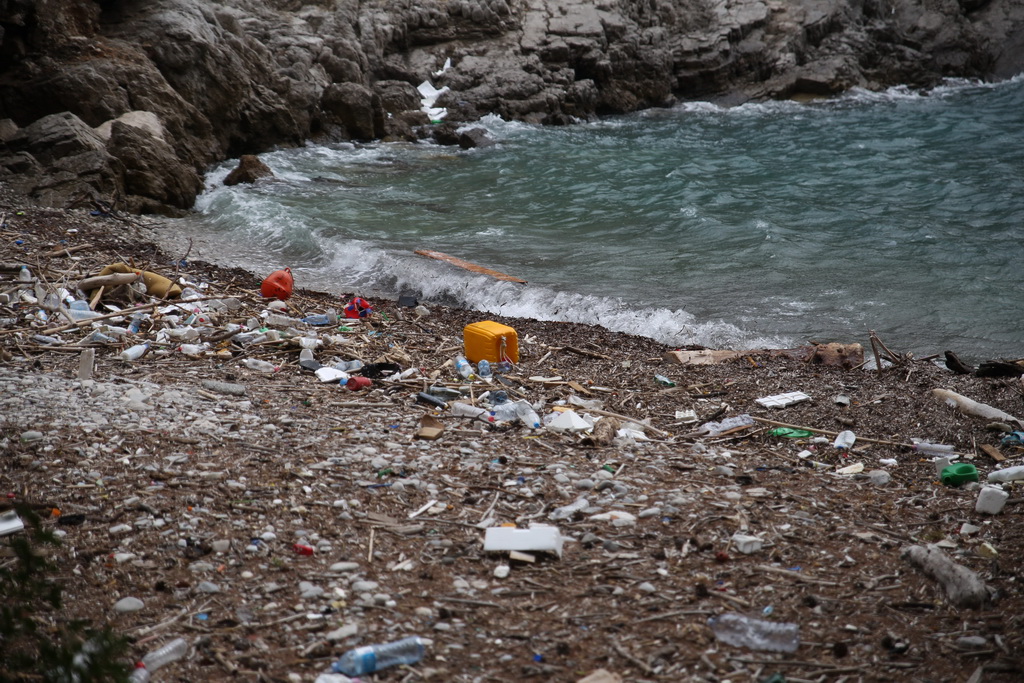 Mljet: Nasukana morska sirena Mljet: Nasukana morska sirena