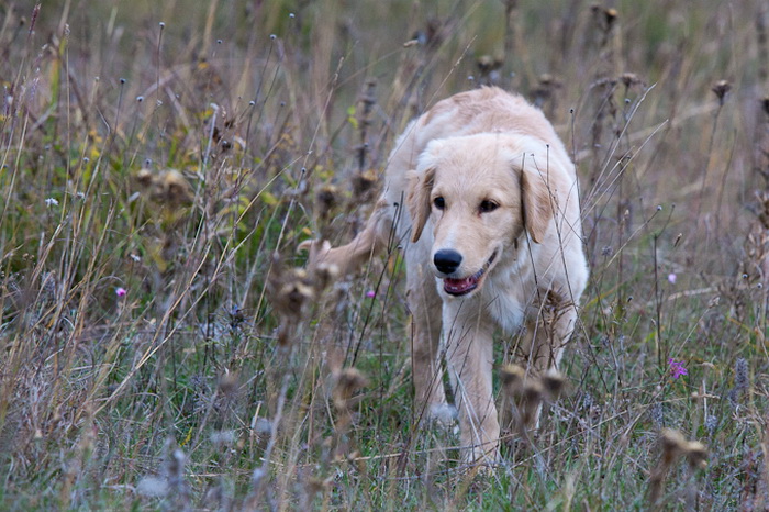 Paintball Team Brabori u akciji, Foto: Leo Banic