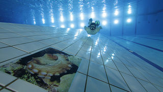 SC Višnjik: Podvodna izložba ronilačkog kluba “Roko” SC Višnjik: Podvodna izložba ronilačkog kluba “Roko”