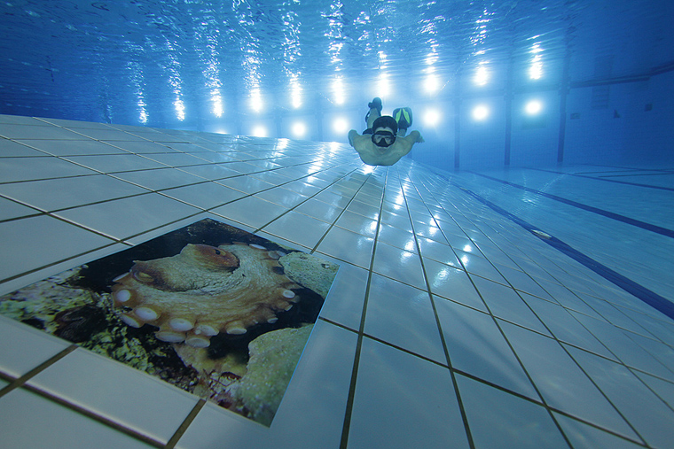 SC Višnjik: Podvodna izložba ronilačkog kluba “Roko” SC Višnjik: Podvodna izložba ronilačkog kluba “Roko”