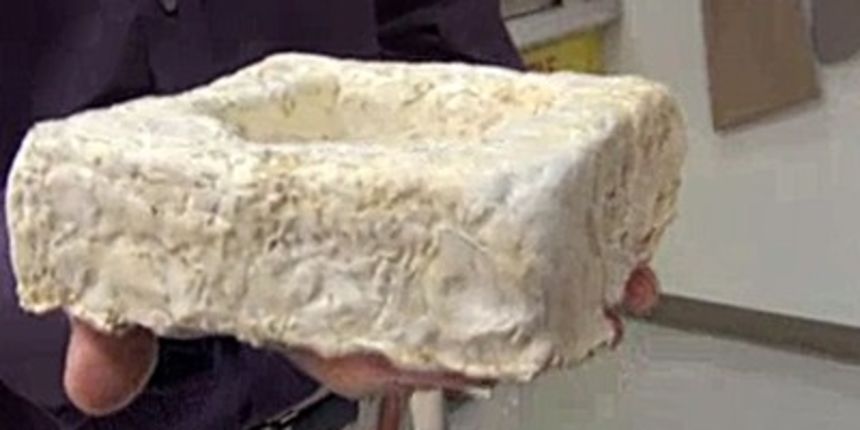 Automobili od gljiva, foto: tportal.hr