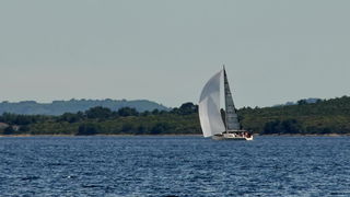 Image 441307 (auto) Image 441307 (auto)