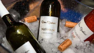 Gastro & wine night @ Vrsi Gastro & wine night @ Vrsi