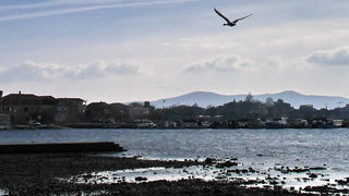 Zimska oseka u Sukošanu