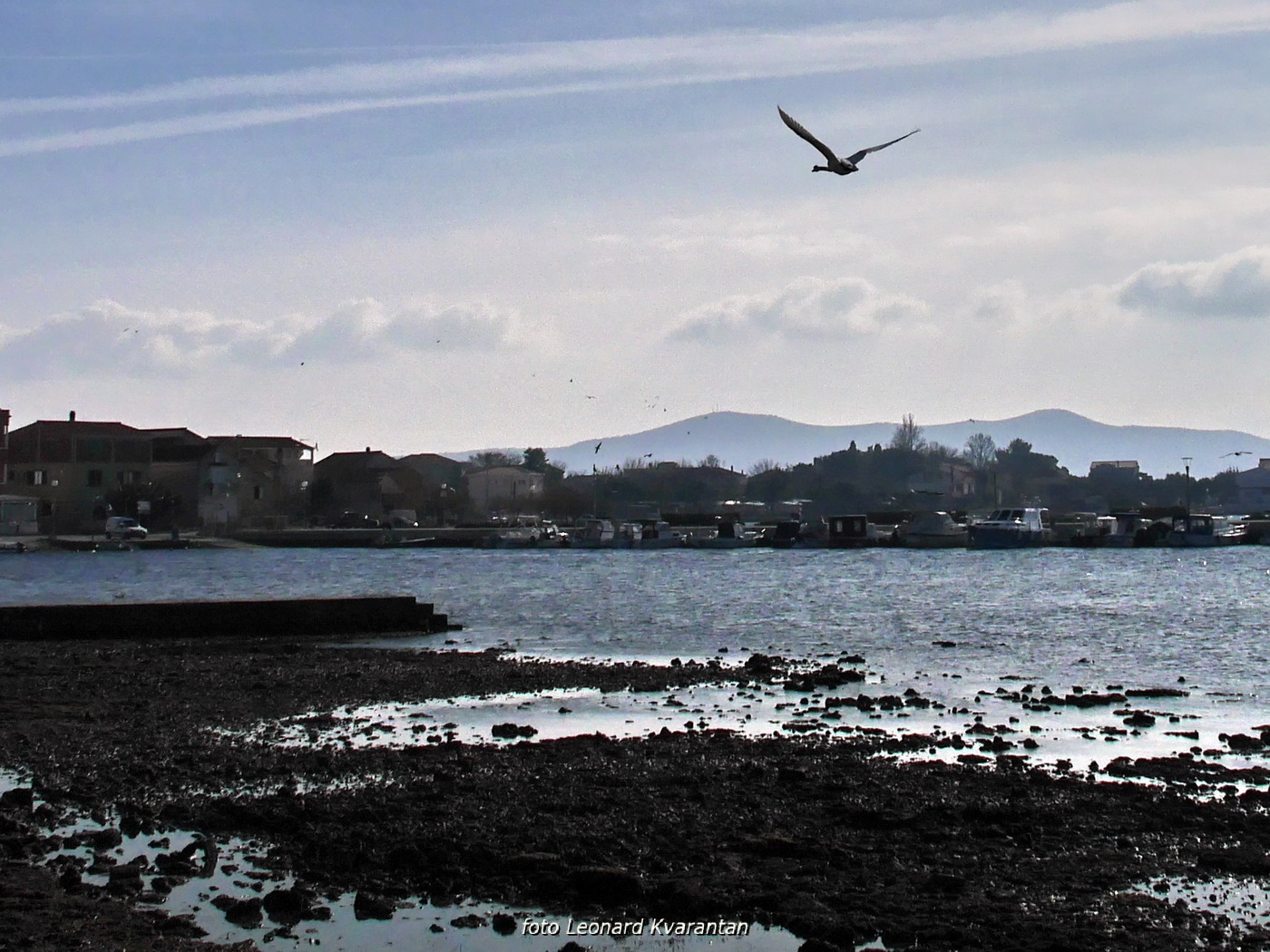Zimska oseka u Sukošanu