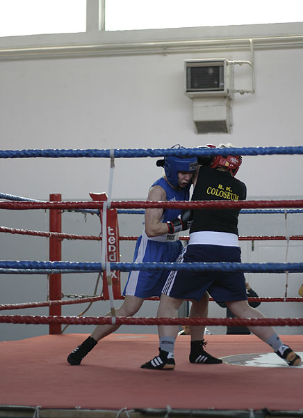 boksacki turnirboksacko prvenstvo za mladje kadete, kadete i zene