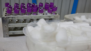 Akcija dobrovoljnog darivanja krvi DDK Bibinje, Foto: Leo Banic Akcija dobrovoljnog darivanja krvi DDK Bibinje, Foto: Leo Banic