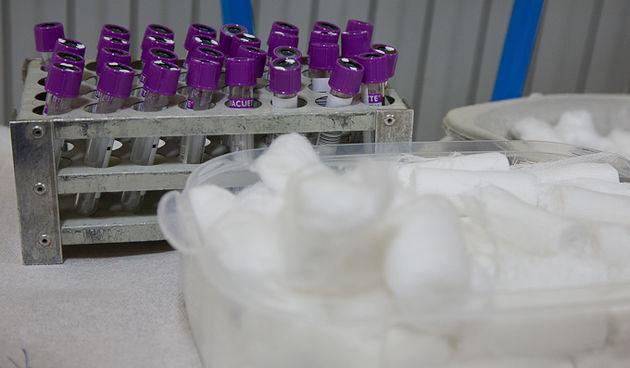 Akcija dobrovoljnog darivanja krvi DDK Bibinje, Foto: Leo Banic