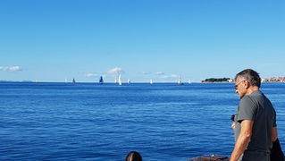 Zadarska Koka 2016. 22. listopada 2016. Foto: Mladen Malik Zadarska Koka 2016. 22. listopada 2016. Foto: Mladen Malik