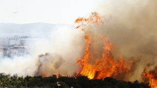 Zadar, 270810
Veliki pozar izbio je danas popodne u Zadru na podrucju izmedju kvarta Bili brig i put Bokanjca. Vatrogasci su i dalje na terenu te se bore sa vatrom da ne dodje do obliznjih kuca.
Foto: Jure Miskovic / CROPIX