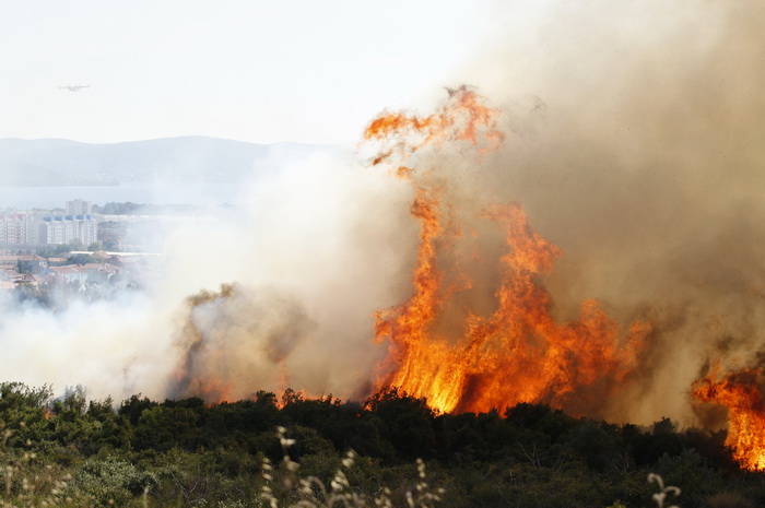 Zadar, 270810
Veliki pozar izbio je danas popodne u Zadru na podrucju izmedju kvarta Bili brig i put Bokanjca. Vatrogasci su i dalje na terenu te se bore sa vatrom da ne dodje do obliznjih kuca.
Foto: Jure Miskovic / CROPIX