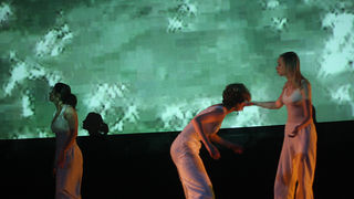 “Colour” Zadarskog plesnog ansambla (Foto:Saša Čuka)