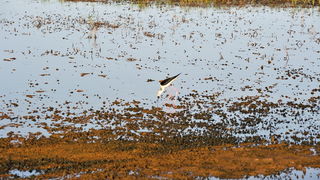 Nin: Prvi rođendan Muzeja soli