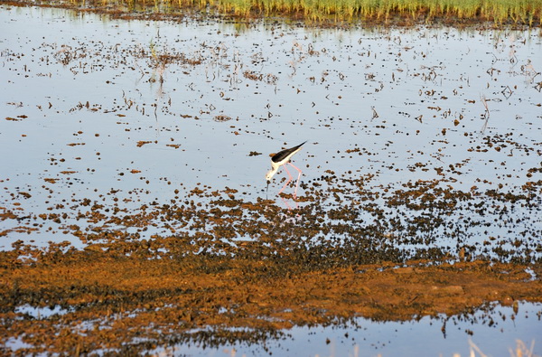 Nin: Prvi rođendan Muzeja soli