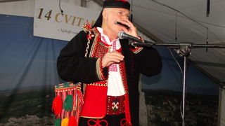 14. Cvitarijada u Nadinu