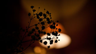 Woman of wine u restoranu Kornat, foto: Darko Belančić Woman of wine u restoranu Kornat, foto: Darko Belančić