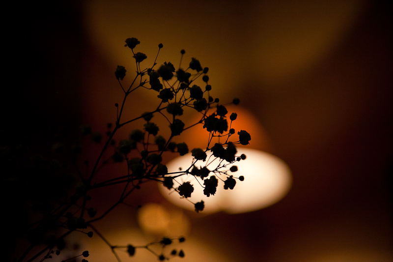 Woman of wine u restoranu Kornat, foto: Darko Belančić Woman of wine u restoranu Kornat, foto: Darko Belančić