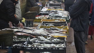 Đir po pešakariji 24. veljače 2012, Foto. Saša Čuka Đir po pešakariji 24. veljače 2012, Foto. Saša Čuka