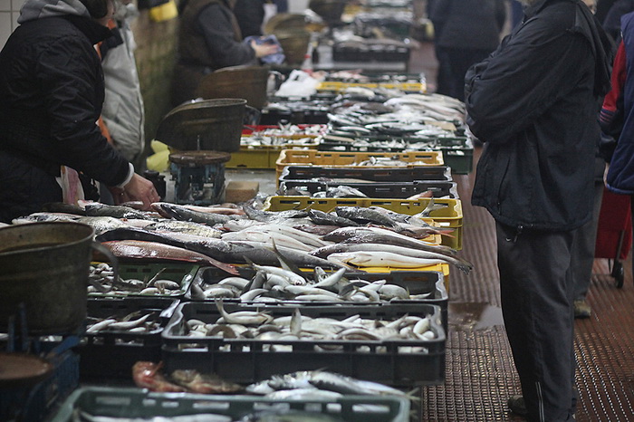 Đir po pešakariji 24. veljače 2012, Foto. Saša Čuka Đir po pešakariji 24. veljače 2012, Foto. Saša Čuka