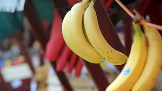 Đir po pijaci, 17. travnja 2012. (foto:Saša Čuka)