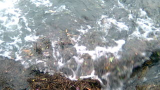 Pijavica s gradom poharala Dolaske Drage, Foto: Maria Dell’Orco Pijavica s gradom poharala Dolaske Drage, Foto: Maria Dell’Orco