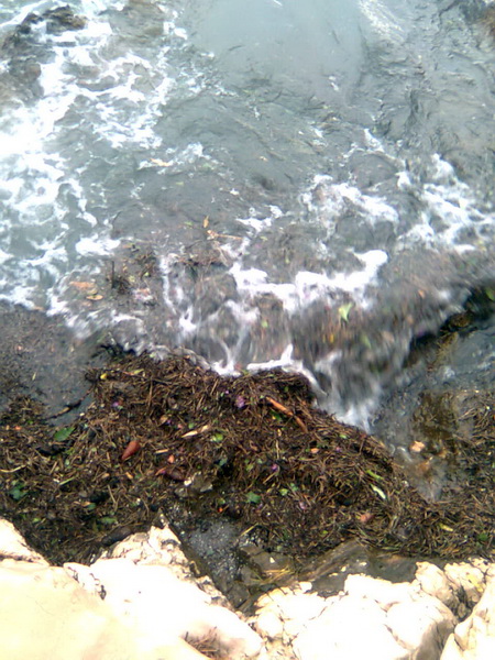 Pijavica s gradom poharala Dolaske Drage, Foto: Maria Dell’Orco Pijavica s gradom poharala Dolaske Drage, Foto: Maria Dell’Orco