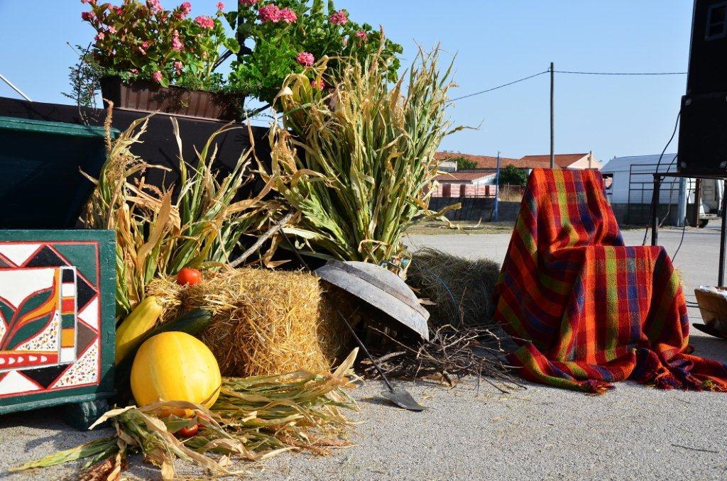 4. po redu večer pisme, folklora i starih običaja “Dođi diko u Kotare ravne – Zemunik 2012.”, foto: Željko Šarić