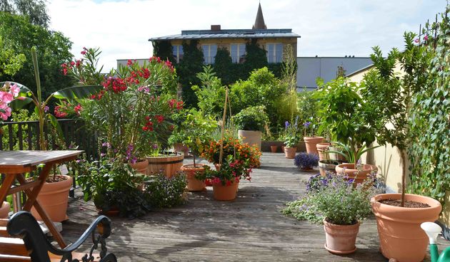 Urbani vrt, foto: www.nekretninebl.com