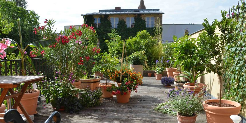 Urbani vrt, foto: www.nekretninebl.com Urbani vrt, foto: www.nekretninebl.com