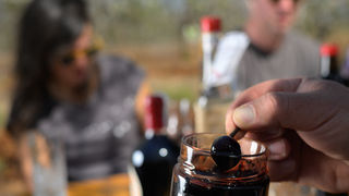 Stabla maraske oblače cvijetno ruho Stabla maraske oblače cvijetno ruho