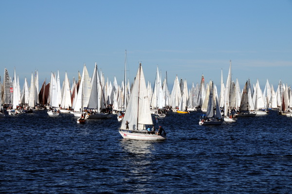 Trst: Barcolana 2009.