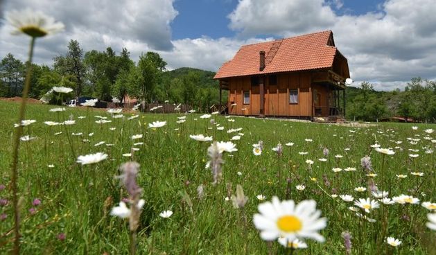 Bozidar Bruce Jerkovic, dr. kvantne biofizike, nakon znanstvene karijere u Americi vratio se u Hrvatsku gdje je otvorio ranc. Ranc se nalazi u Velikoj Plani pokraj ulaza u Park prirode Sjeverni Velebit.