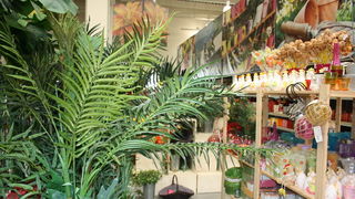 Ponovo otvoren centar baumax Zadar Ponovo otvoren centar baumax Zadar