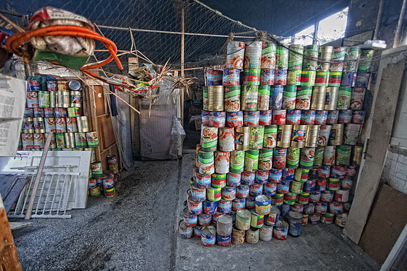 Kako zive beskucnici