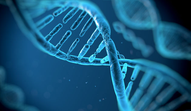 DNA, foto: www.scind.org