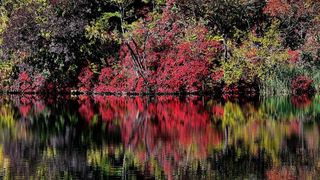 NP Plitvička jezera, listopad 2021.