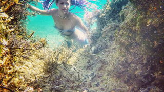 Mljet: Nasukana morska sirena Mljet: Nasukana morska sirena