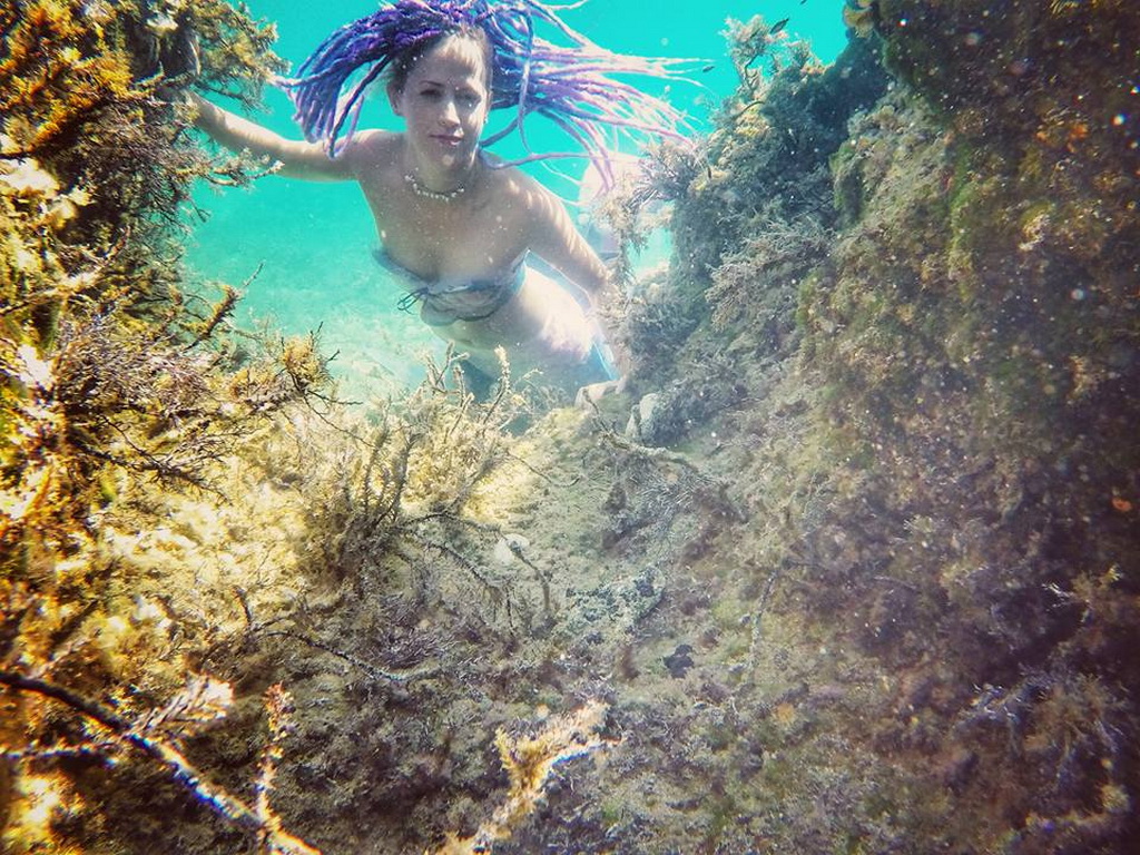 Mljet: Nasukana morska sirena Mljet: Nasukana morska sirena