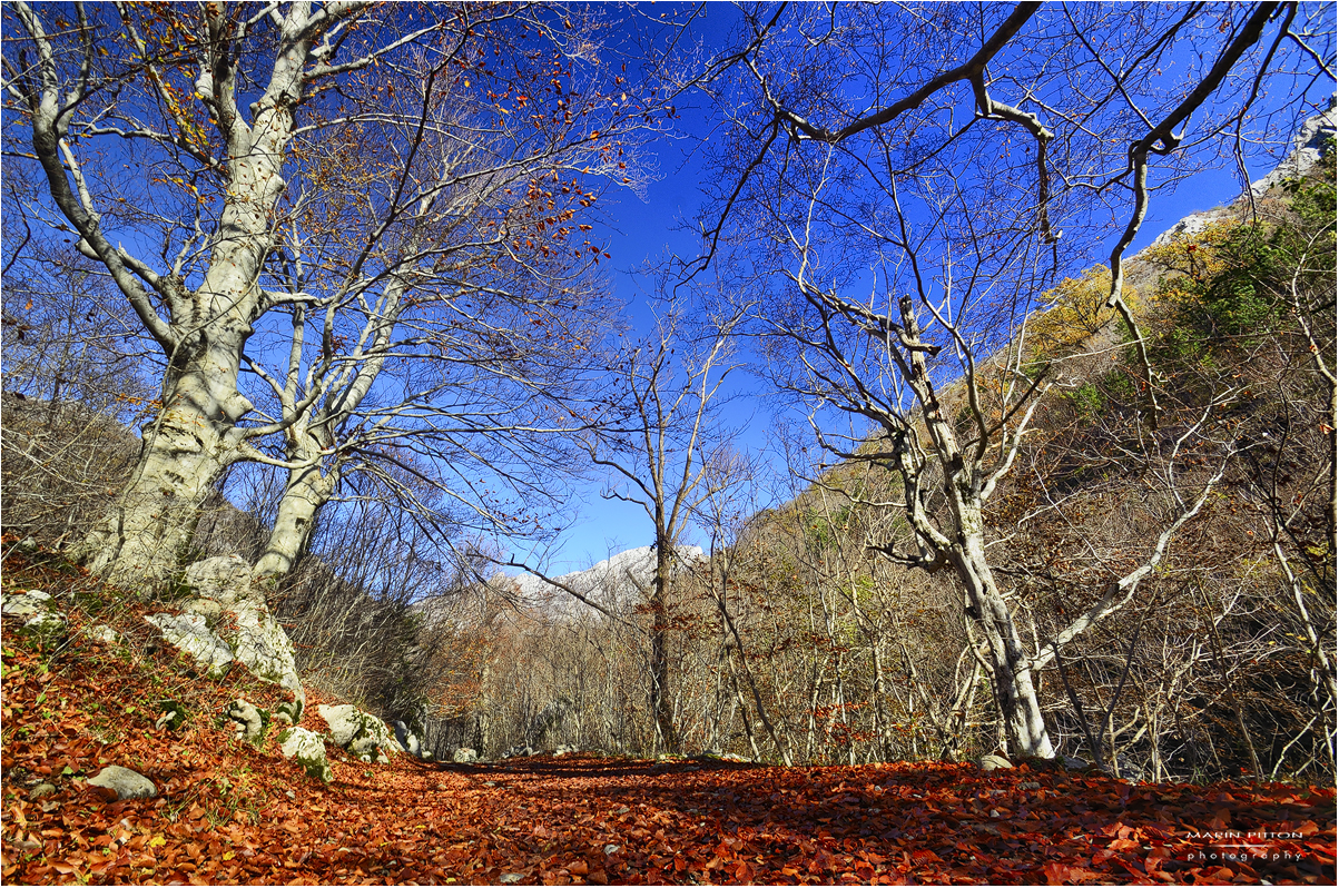Jesen u kanjonu Velike Paklenice