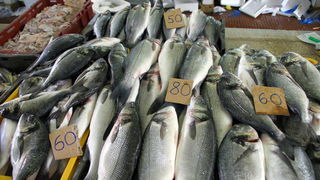 Image 1178093 (auto)