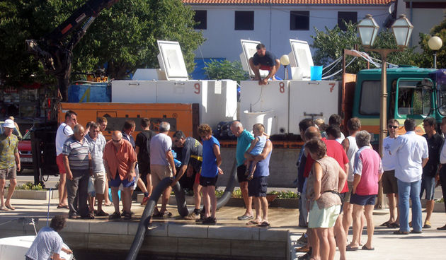 POSEDARJE, 07.07.2007.
Pustanje riblje mlađi u more na novoj posedarskoj rivi privuklo je brojne znatiželjnike