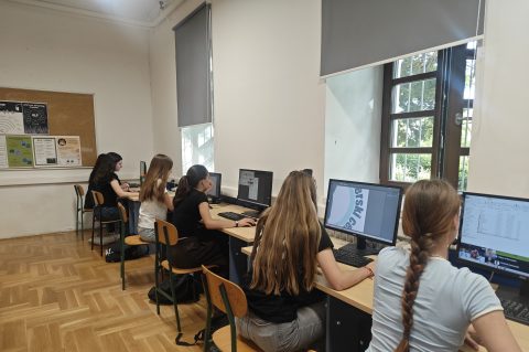 volonteri, hrvatska volontira