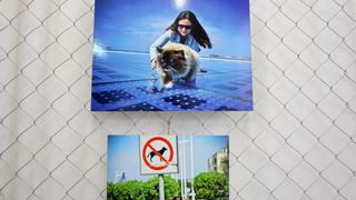 26.04.2014., Zadar – U Knezevoj palaci otvorena je humanitarna izlozba kucnih ljubimaca fotografkinje Ive Perincic za pomoc zadarskom azilu za zivotinje. Photo: Filip Brala/PIXSELL 26.04.2014., Zadar – U Knezevoj palaci otvorena je humanitarna izlozba kucnih ljubimaca fotografkinje Ive Perincic za pomoc zadarskom azilu za zivotinje. Photo: Filip Brala/PIXSELL