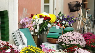 Gradska trznica uoci dana mrtvih, Foto: Mia Knezevic