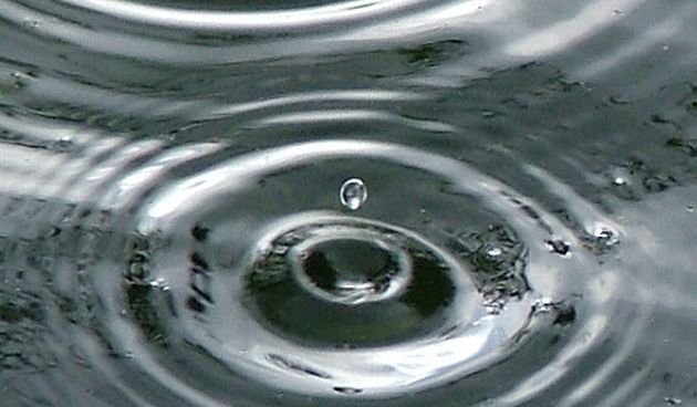 Kiša (Foto: poznan.pl)