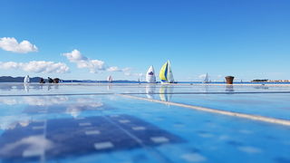 Zadarska Koka 2016. 22. listopada 2016. Foto: Mladen Malik Zadarska Koka 2016. 22. listopada 2016. Foto: Mladen Malik